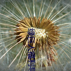 米乐M6·(中国)官方网站