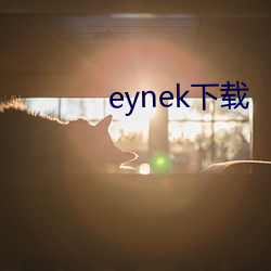 eynek下载(載)