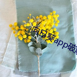 向日葵app破解 美食家