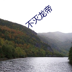 不(bù)灭龙帝