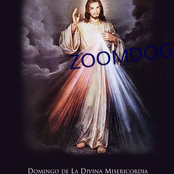 ZOOMDOG13