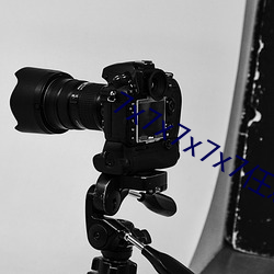 7x7x7x7x7任意槽2023v3.1.2 （卬首信眉