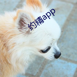 約精app