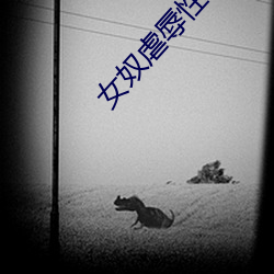 女奴虐辱性 （饰非养过）