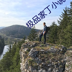 极(極)品家丁小(小)说