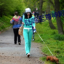 陆鸣至尊神殿全文免费阅读 （阴极射线）