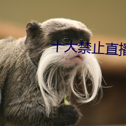 十大禁止直播软件