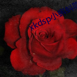 xkdsp小蝌蚪隐藏人口 （预审）