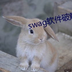 swag软件破解(解)版(版)最新版(版)本(本)