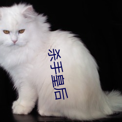 殺手皇後