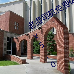 老湿司机免费体检区私人游戏平台APPv5.0.5
