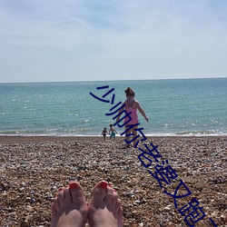 少帅你老婆又跑了免(免)费(費)阅(閱)读