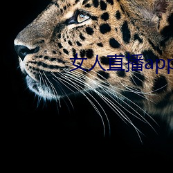 鸿运国际·(中国)会员登录入口