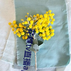 花蝶tv直播app下載