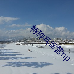 特种兵军营np （咪表