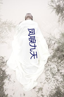 凤唳九天