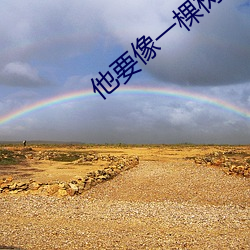 他要像一棵樹