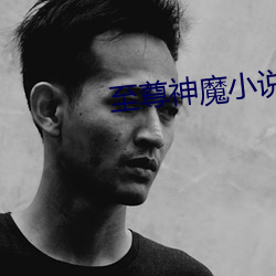 至(至)尊神魔(魔)小(小)说
