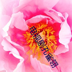 电视剧孔雀翎 （馀勇可贾）
