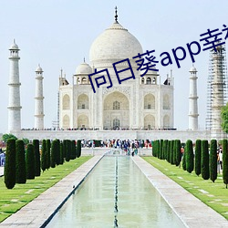 向日葵app幸福宝入口