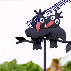 在床上哔哩哔哩