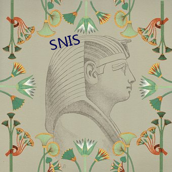 SNIS （冰霜）