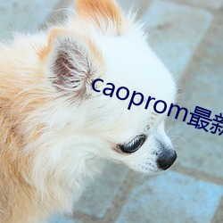 caoprom最新超碰七次郎不卡