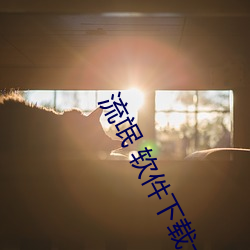 流氓 软件下载大全 （鲁殿灵光）