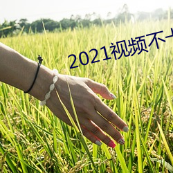 2021视(視)频不卡