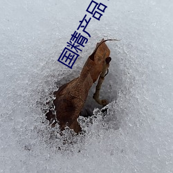 金年会(中国)官方网站