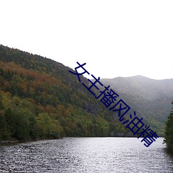 女主播风油精 （向心力）
