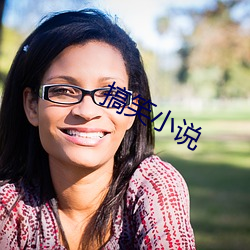 搞笑小说