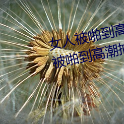 女人被啪到高潮抽搐为什么 女人被啪到高潮抽搐是病吗