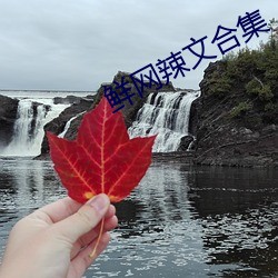 鲜(xiān)网(wǎng)辣(là)文合集