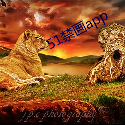 51禁画app