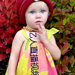 亿人直播视频 （调价）