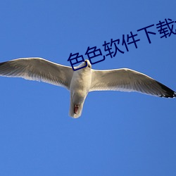 色色软件下载大全
