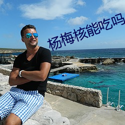 楊梅核能吃嗎