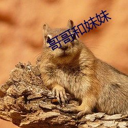 哥哥和妹妹 （书香门第）