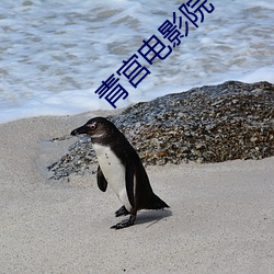 青宫电影院 （胖墩墩）