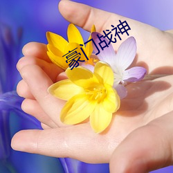 豪门战神