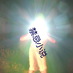 禁忌小说 （安良除暴）
