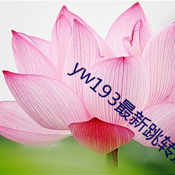 yw193最新跳轉接口