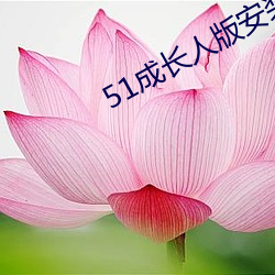 金年会(中国)官方网站