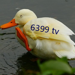 6399 tv