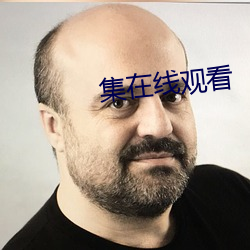 集在线观看