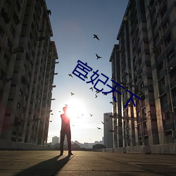 宦(huàn)妃天(tiān)下