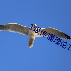 1级传播理(lǐ)论12123