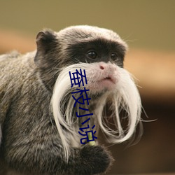 蚕枝小说(說)