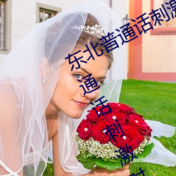东北普通话刺激对白(bái)国语高清(东北普通话刺激对白国语高清: